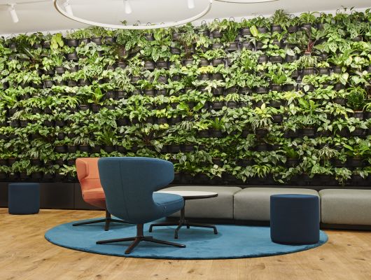 Lounge with greenery