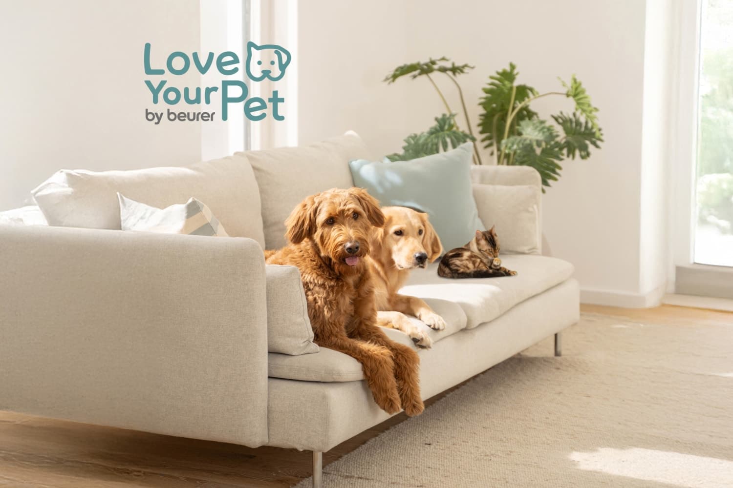 Deux chiens et un chat sont allongés sur un canapé beige. Le logo de la série "Love Your Pet" de Beurer est visible au-dessus avec le texte "Love Your Pet by beurer"".