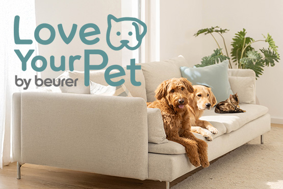 Zwei Hunde und eine Katze liegen auf einem Sofa. Daneben der Schriftzug "Love Your Pet by beurer" Zwei Hunde und eine Katze liegen auf einem Sofa. Daneben der Schriftzug "Love Your Pet by beurer"